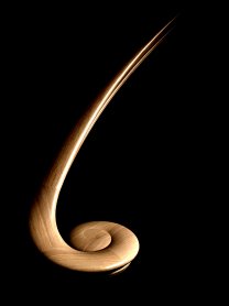 oak rising volute